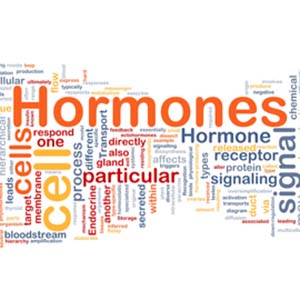 Hormone Imbalance 2